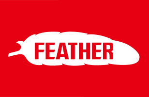 FEATHER Safety Razor